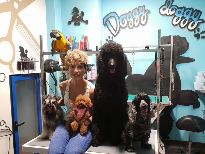 Peluquería Canina 04