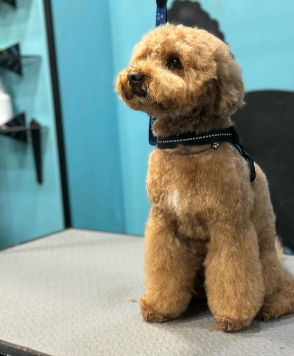 Whatsapp Image 2024-07-01 At 20.12.50