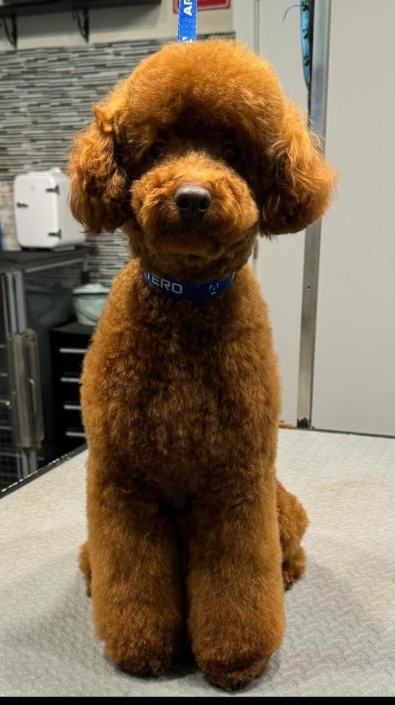 Whatsapp Image 2024-07-01 At 20.12.51 (1)