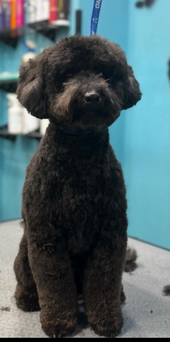 Whatsapp Image 2024-07-01 At 20.12.51 (2)