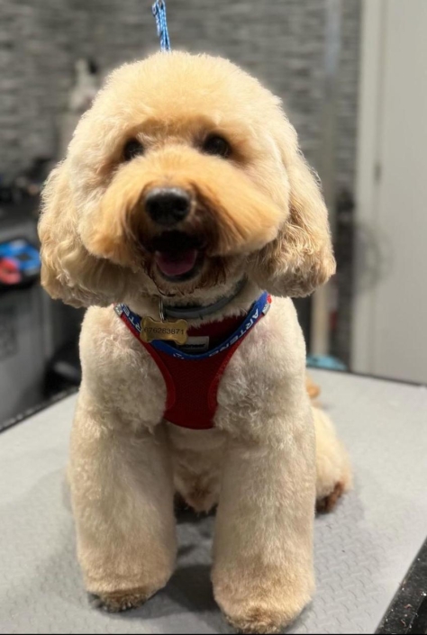 Whatsapp Image 2024-07-01 At 20.12.51 (3)