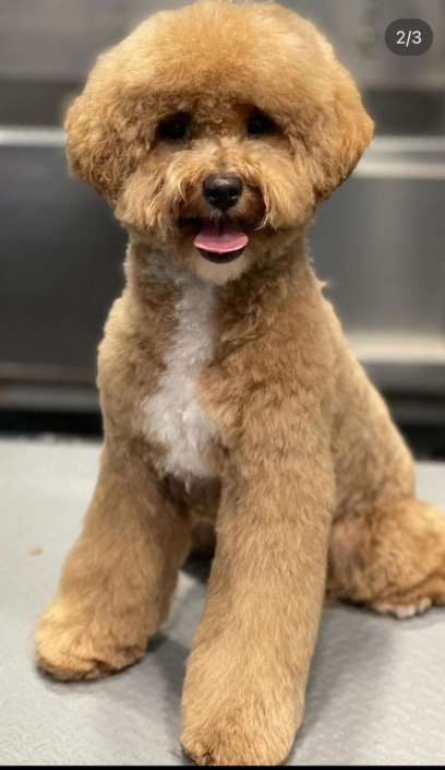 Whatsapp Image 2024-07-01 At 20.12.51 (5)