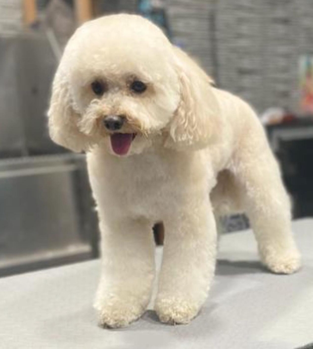 Whatsapp Image 2024-07-01 At 20.12.51 (7)