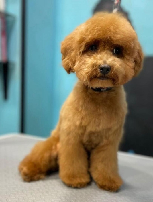 Whatsapp Image 2024-07-01 At 20.12.51 (8)