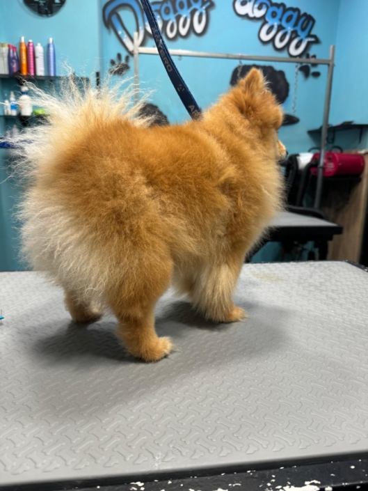 Whatsapp Image 2024-07-01 At 20.14.03