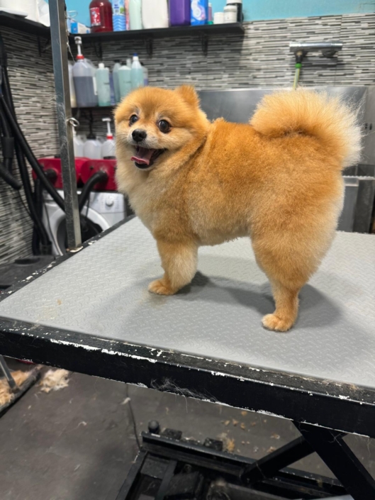 Whatsapp Image 2024-07-01 At 20.14.04 (1)