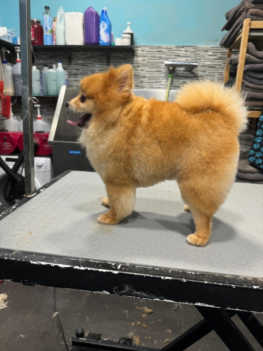 Whatsapp Image 2024-07-01 At 20.14.04 (2)