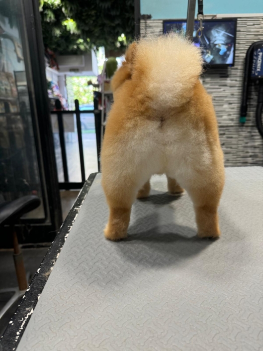 Whatsapp Image 2024-07-01 At 20.14.04 (3)