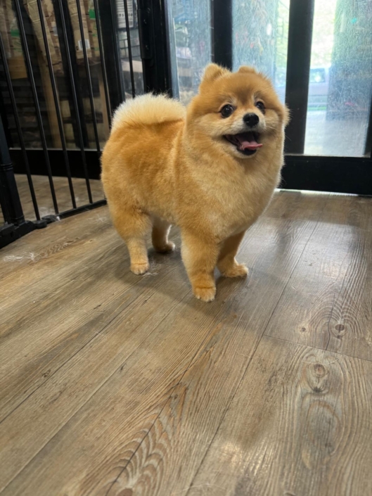 Whatsapp Image 2024-07-01 At 20.14.04 (4)