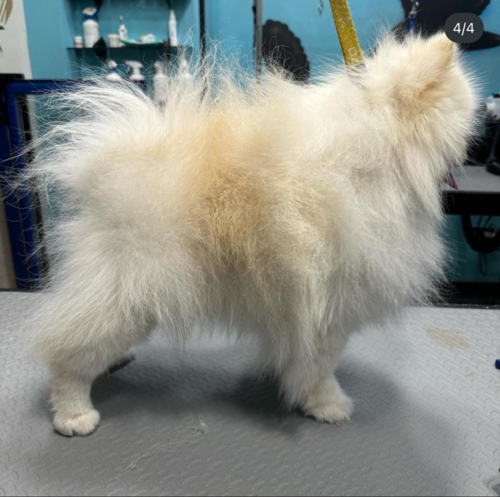 Whatsapp Image 2024-07-01 At 20.14.04 (5)