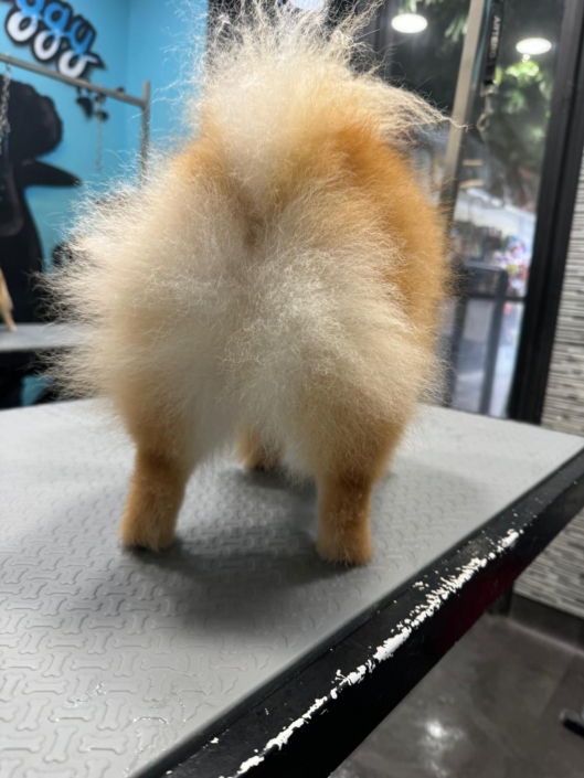 Whatsapp Image 2024-07-01 At 20.14.04