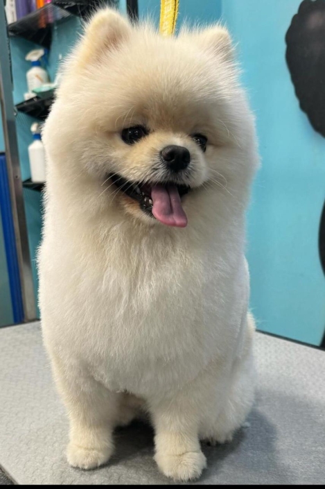 Whatsapp Image 2024-07-01 At 20.14.04 (6)