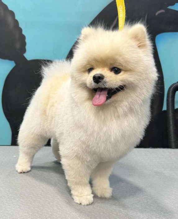 Whatsapp Image 2024-07-01 At 20.14.04 (7)